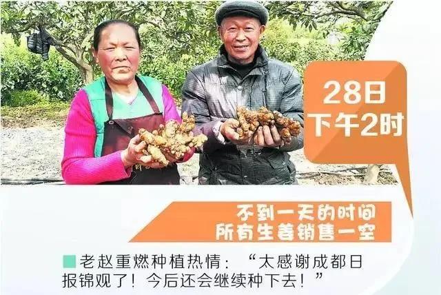 金狮贵宾会342网址蹊径(中国游)官网